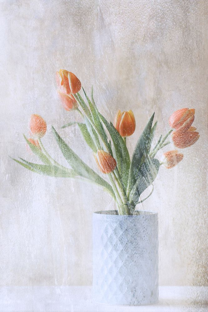 A Bunch Of Tulips art print by Delphine Devos for $57.95 CAD
