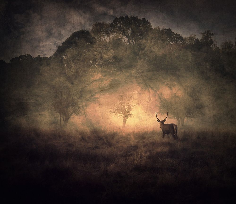 Someday Some Morning Sometime art print by Robert Fabrowski for $57.95 CAD