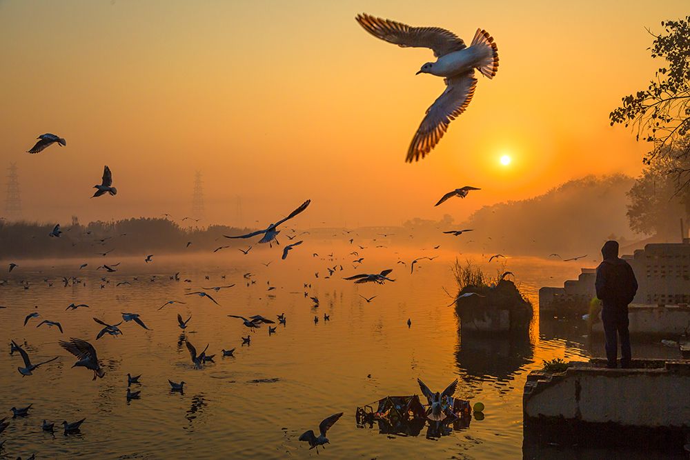 Wings over Yamuna art print by Souvik Banerjee for $57.95 CAD