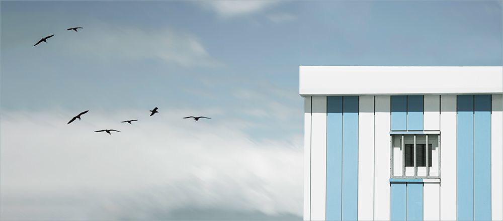 gulls loft art print by Gilbert Claes for $57.95 CAD