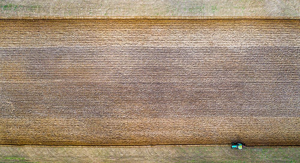 The Carpet art print by Wojciech Kruczynski for $57.95 CAD