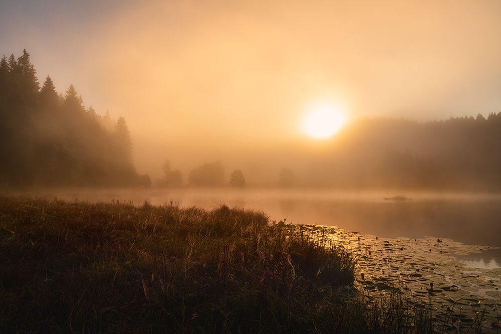 The incredible light of an October morning art print by Norbert Maier for $57.95 CAD