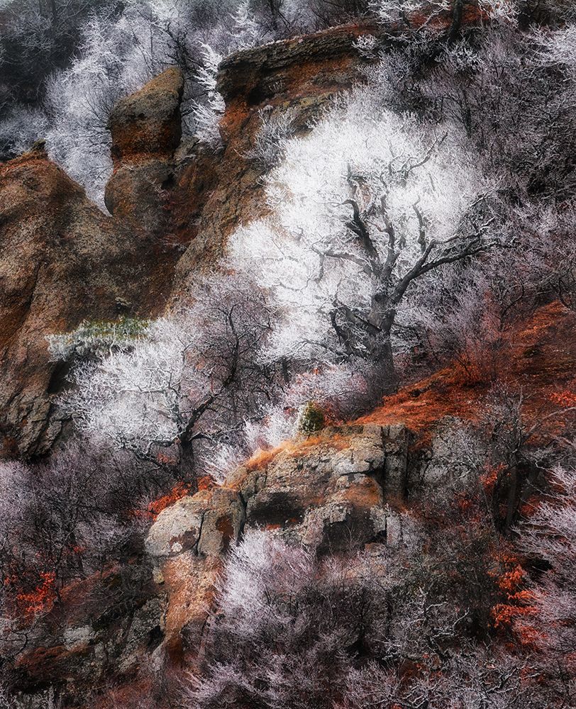 *** art print by Kirill Volkov for $57.95 CAD