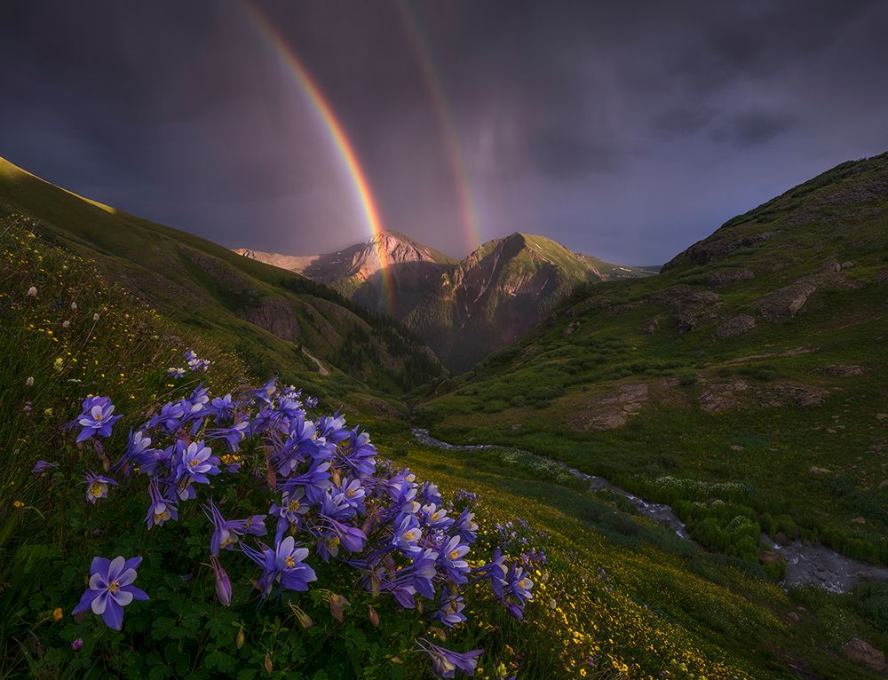 Making Haste art print by Ryan Dyar for $57.95 CAD