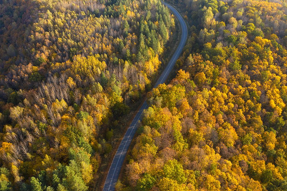 Through autumn art print by Dmitry Doronin for $57.95 CAD