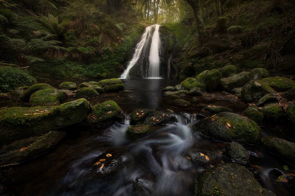 A Graceful Waterfall art print by Yan Zhang for $57.95 CAD