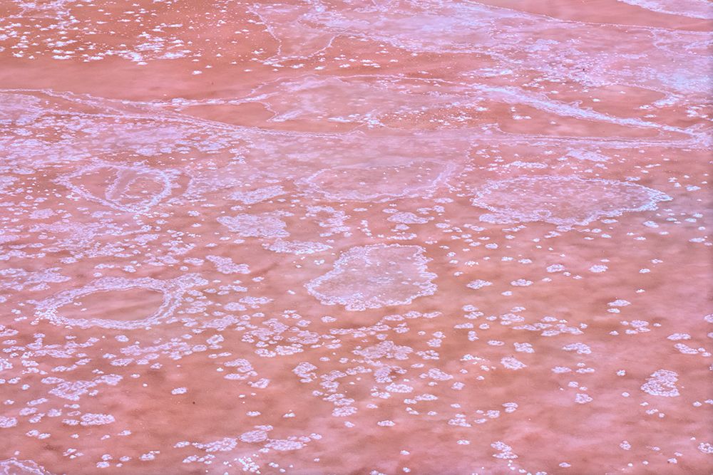 Crystallized salt in Puerto Real. Cadiz. art print by Pedro Fructuoso for $57.95 CAD