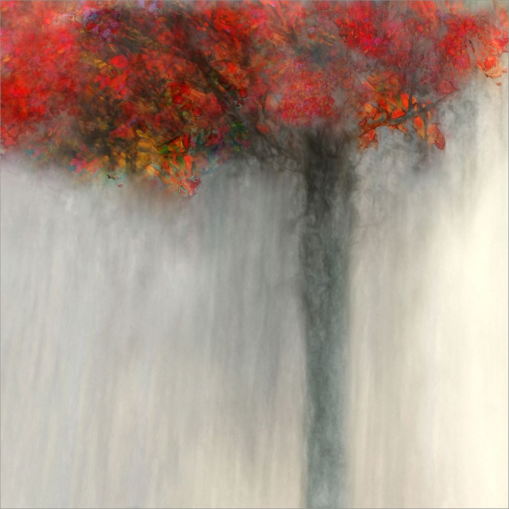 Fiery Autumn art print by Gilbert Claes for $57.95 CAD