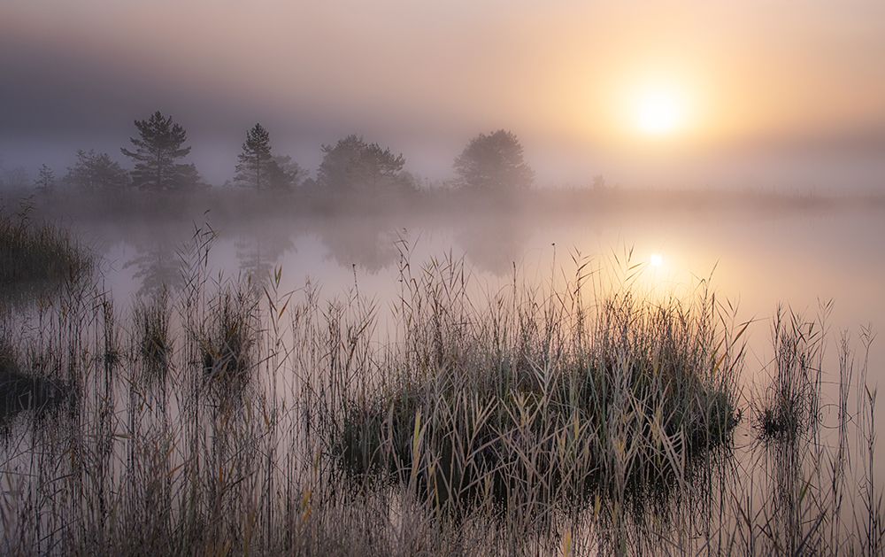 Cold Autumn Morning art print by Ulrike Eisenmann for $57.95 CAD