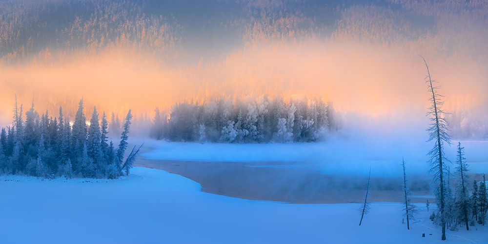 Winter morning mist in the Magic Bay art print by Hua Zhu for $57.95 CAD