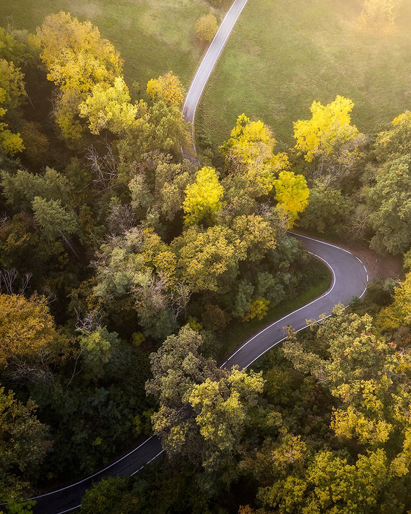 - Autumn Road - art print by Francesco Tavani for $57.95 CAD