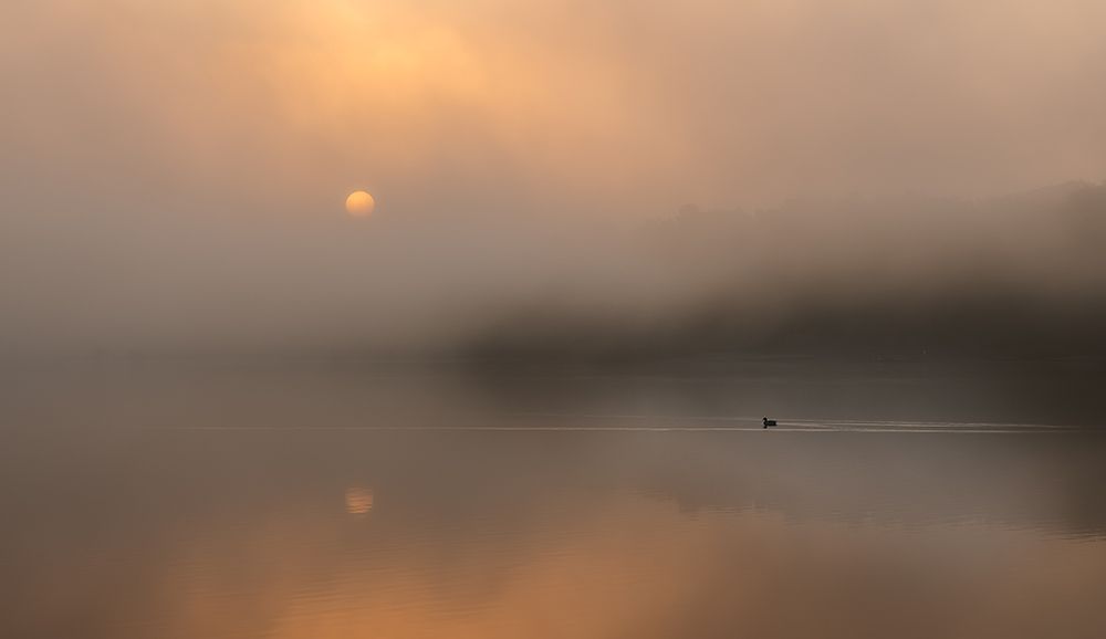 The Loneliness Of The Long-Distance Runner. art print by Slawomir Kowalczyk for $57.95 CAD