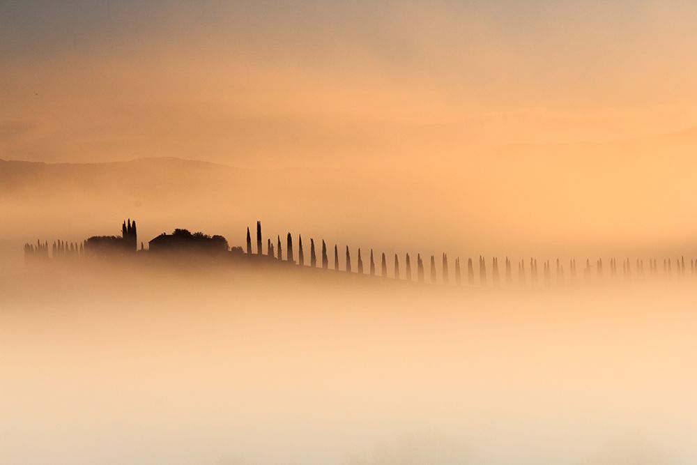 Foggy Sunrise art print by Alessandro Bergamin for $57.95 CAD