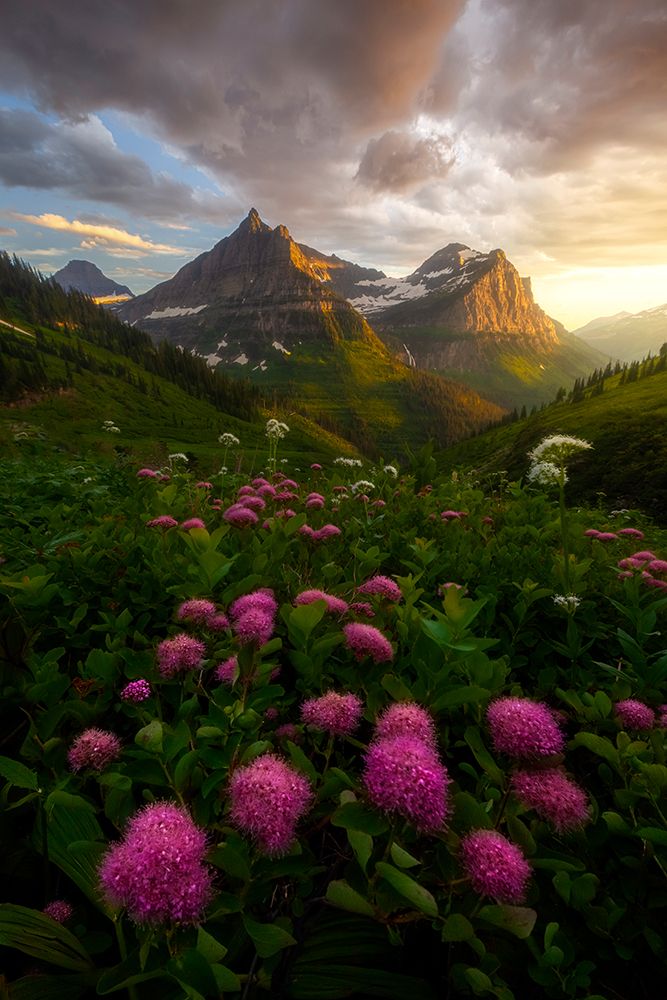 As It Fades art print by Ryan Dyar for $57.95 CAD