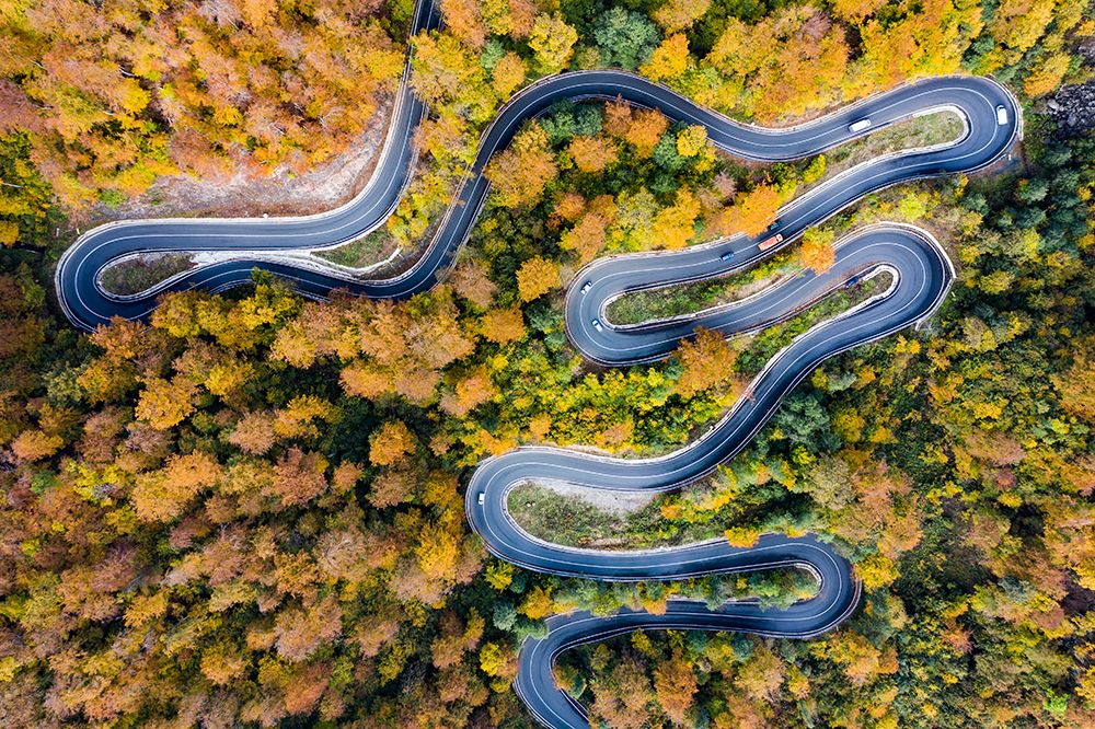 Autumn road art print by Eros Erika for $57.95 CAD
