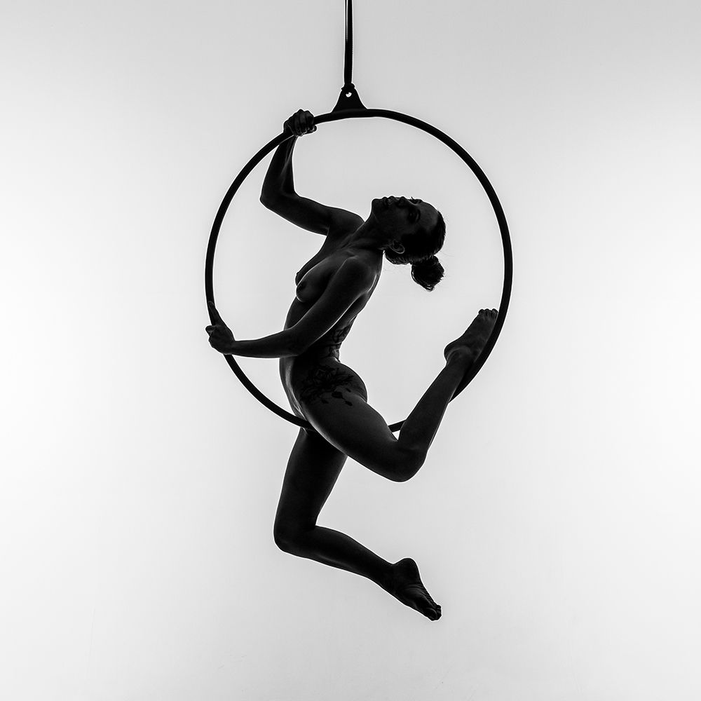 Aerial hoop art print by bicibici for $57.95 CAD