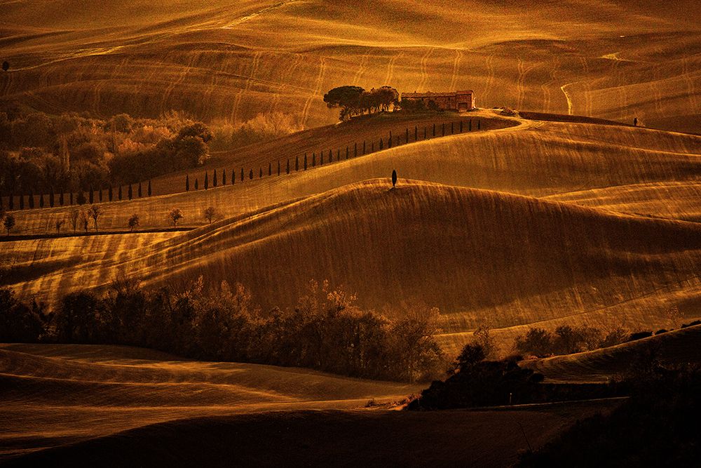 Il cipresso art print by Massimo Della Latta for $57.95 CAD
