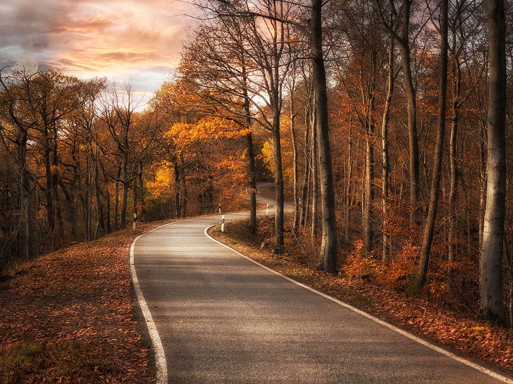 The Road art print by Roland Weber for $57.95 CAD