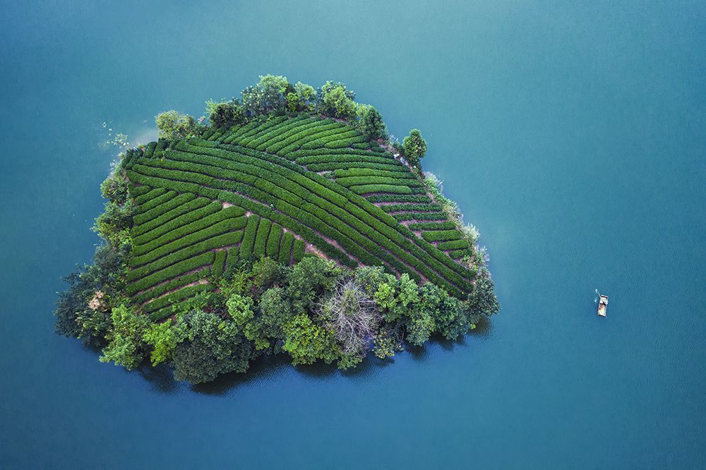 Tea garden island art print by TIANQI for $57.95 CAD