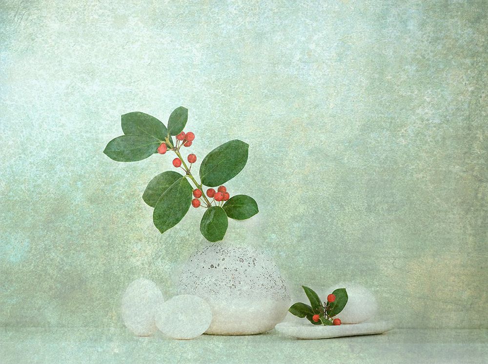 Holly Berries art print by Catherine Wang for $57.95 CAD