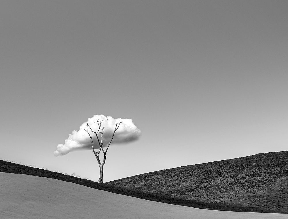 Alone art print by Hamed Qane for $57.95 CAD