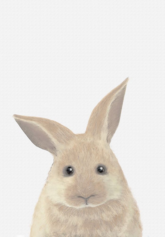 Rabbit art print by 1x Studio II for $57.95 CAD