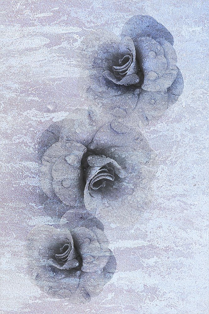 Traces of fading beauty art print by Ludmila Shumilova for $57.95 CAD