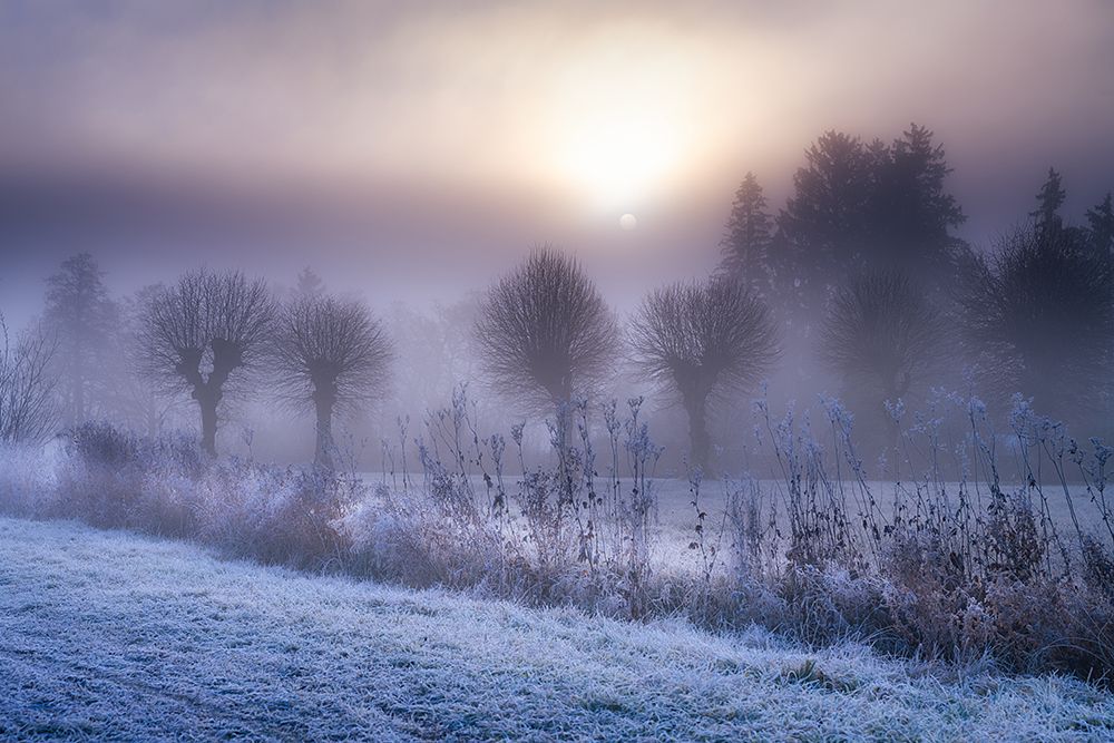 Winter Impression art print by Ulrike Eisenmann for $57.95 CAD