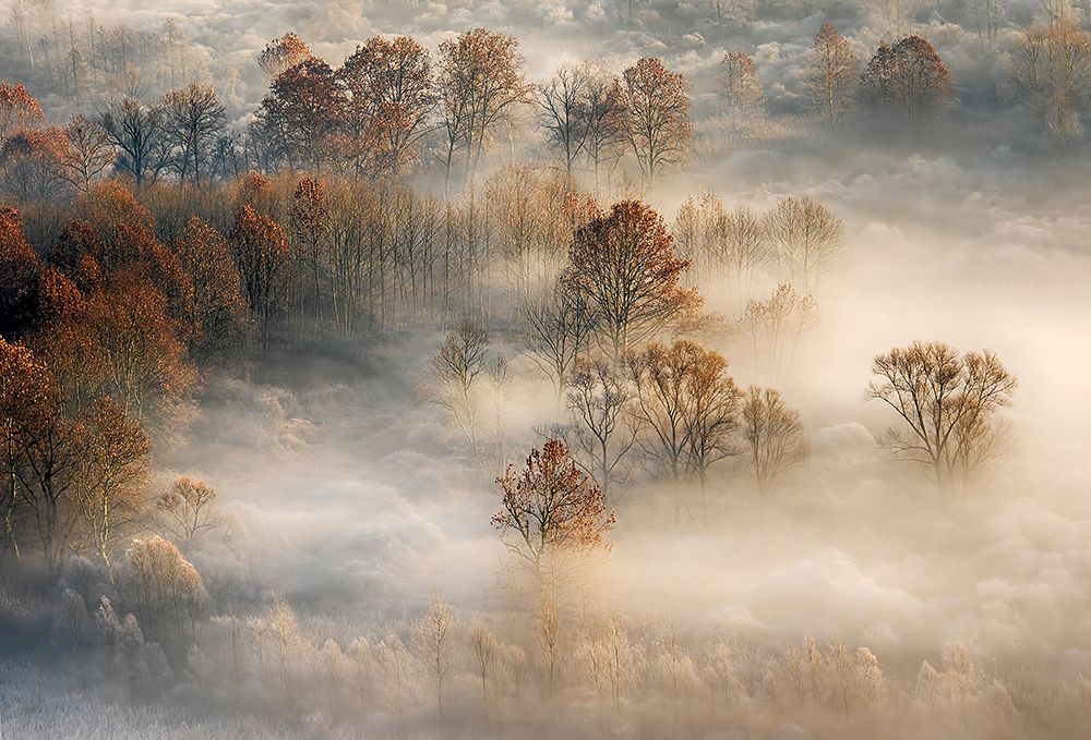 foggy landscape art print by Fabrizio Daminelli for $57.95 CAD