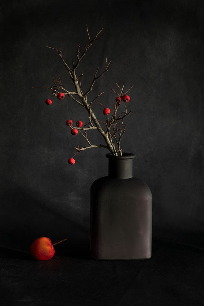 Winter berry art print by Dennis Zhang for $57.95 CAD