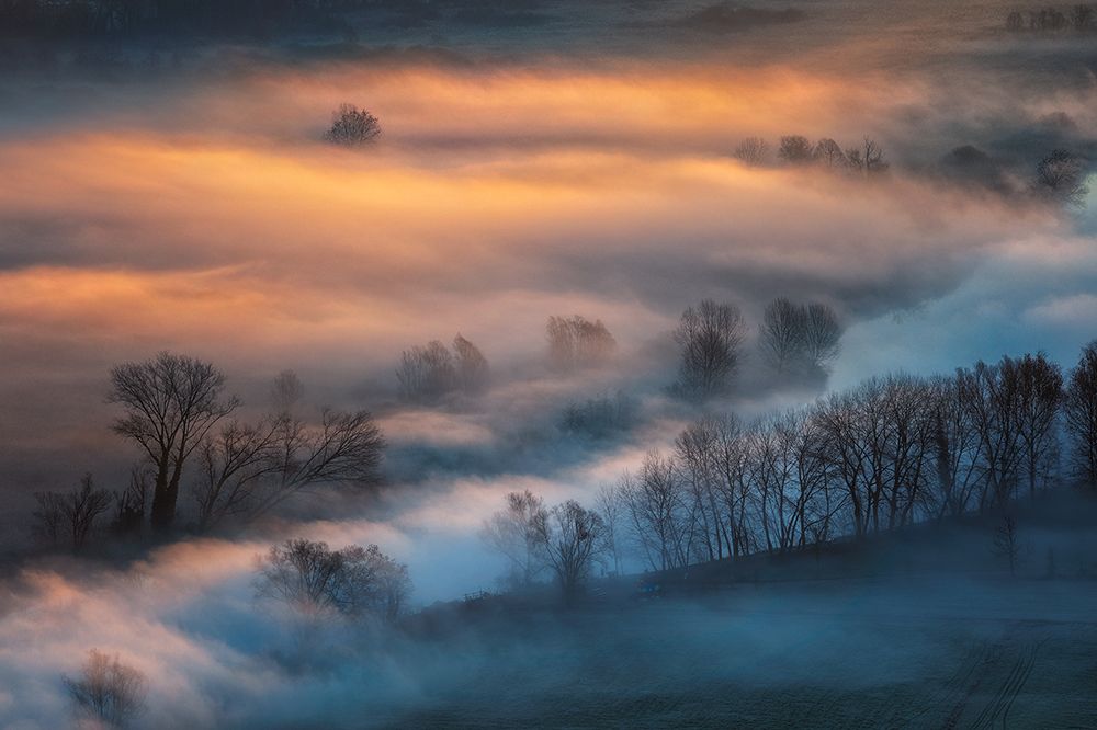 Sunrise light in the foggy valley art print by Fiorenzo Carozzi for $57.95 CAD