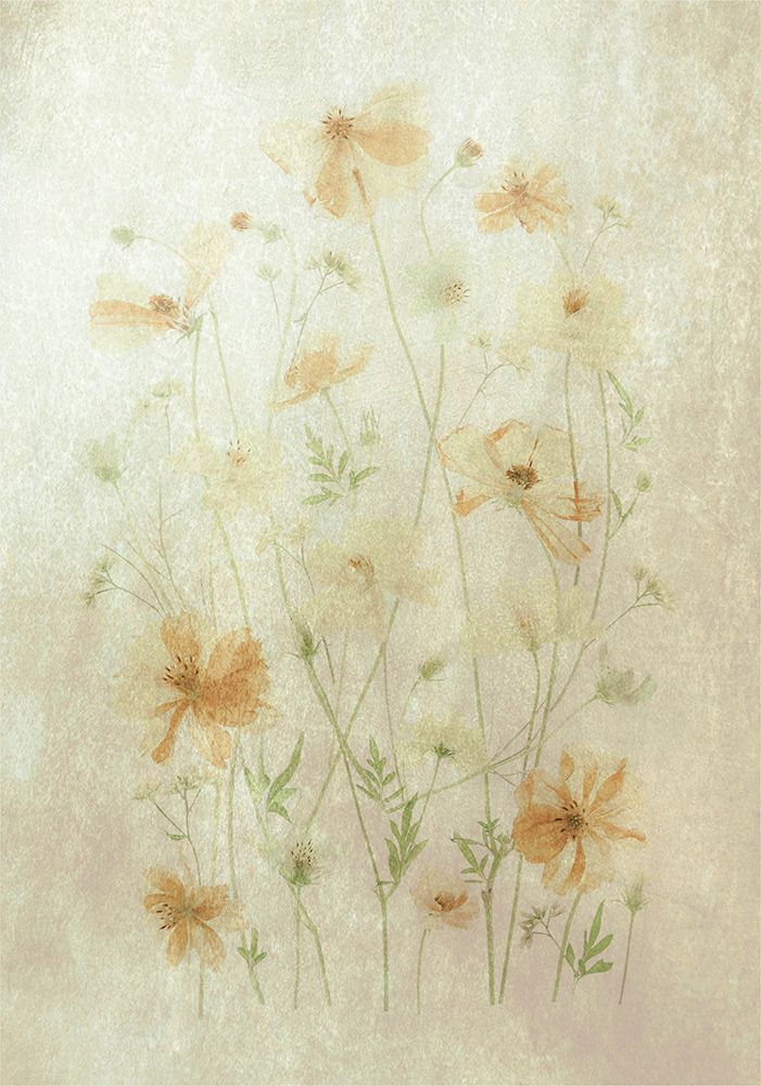 Yellow Cosmos art print by Fangping Zhou for $57.95 CAD