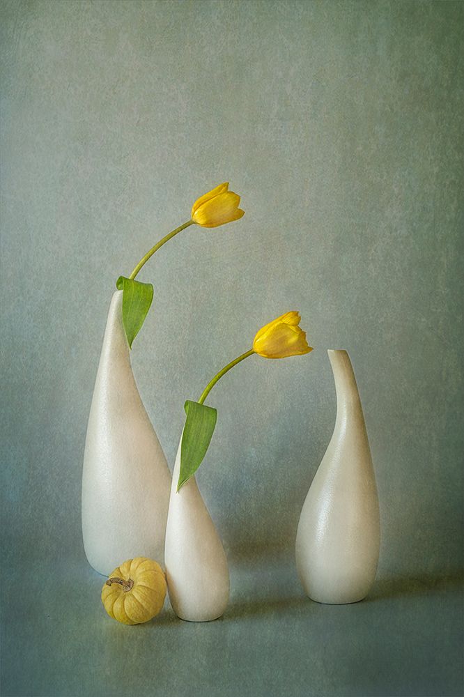 Yellow Tulip and Mini Squash art print by Lydia Jacobs for $57.95 CAD