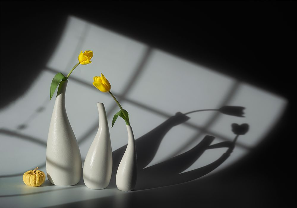 Sun and Shadow art print by Lydia Jacobs for $57.95 CAD