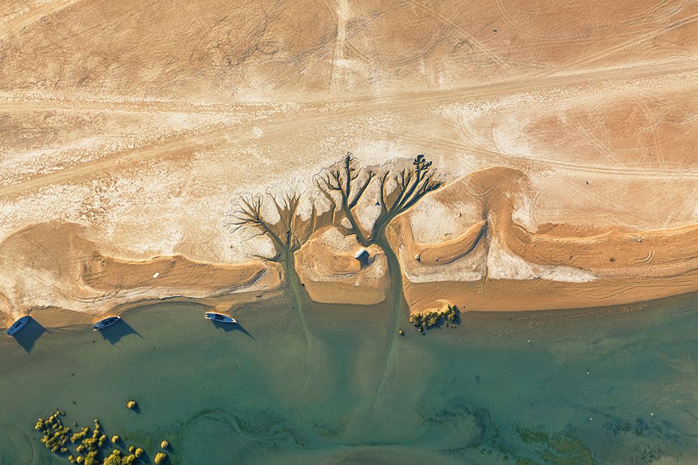 Trees Of Life art print by Haitham AL Farsi for $57.95 CAD