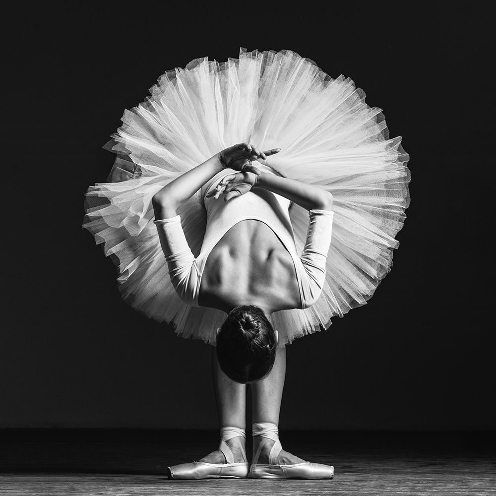 Ballerina At Class art print by Alexander Yakovlev for $57.95 CAD