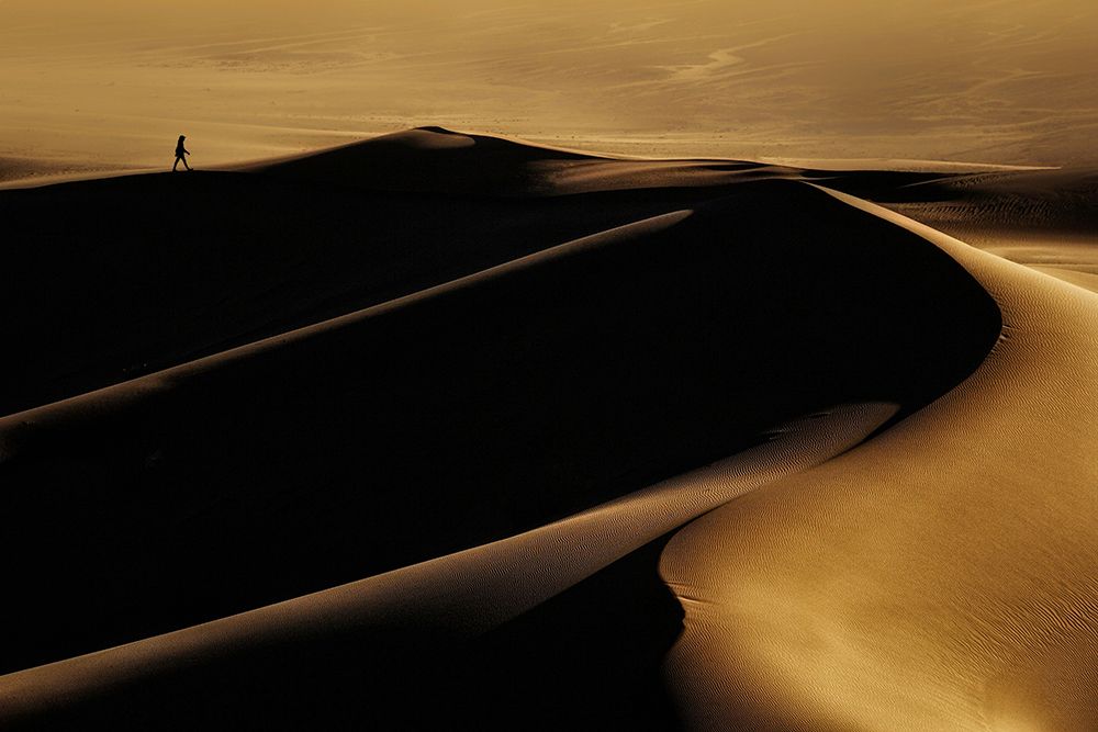 Desert One art print by Mohammad Fotouhi for $57.95 CAD