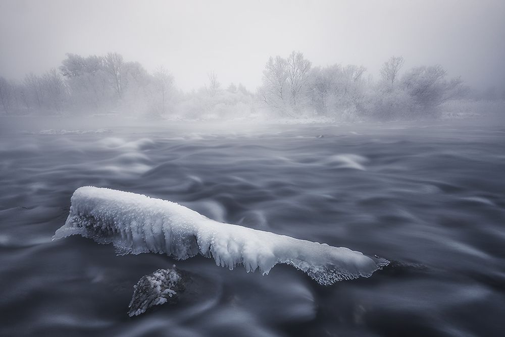 Frozen trunk art print by Tom Meier for $57.95 CAD