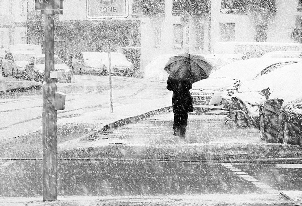 Blizzard in Heidelberg art print by Alexander Jikharev for $57.95 CAD