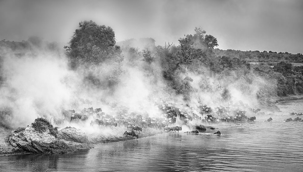 The crossing amidst the dust art print by Jeffrey C. Sink for $57.95 CAD