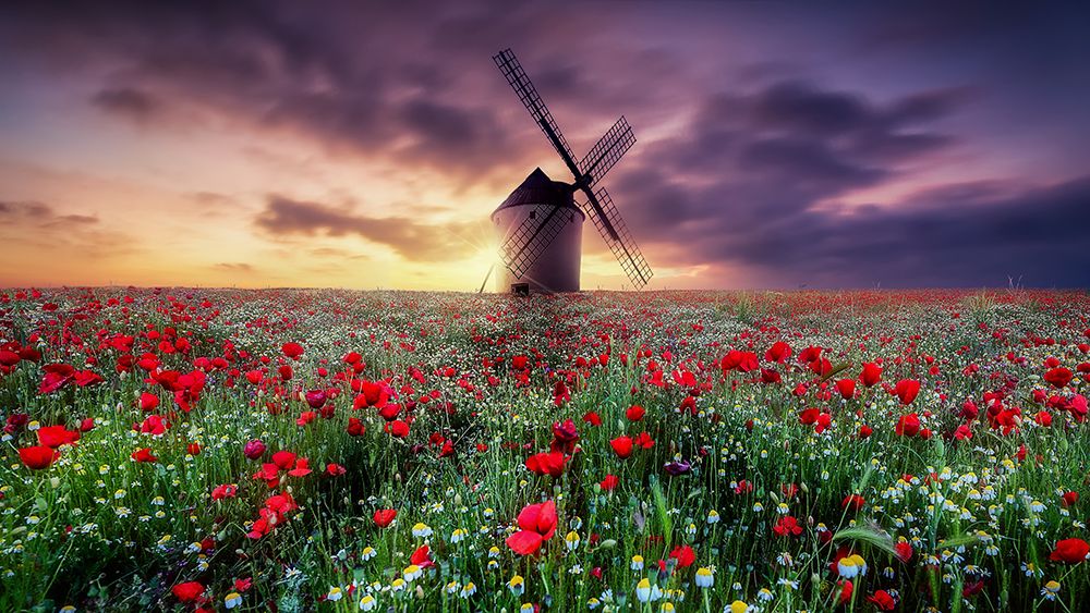 Spring By The Windmill art print by Jose Antonio Trivino for $57.95 CAD