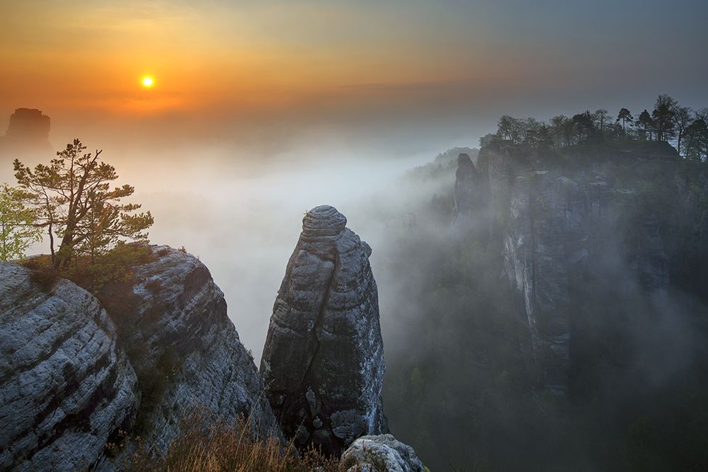 Morning mist art print by Thomas Siegel for $57.95 CAD