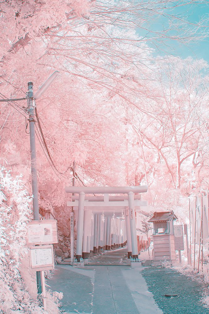 Infrared Photography art print by yuuui for $57.95 CAD
