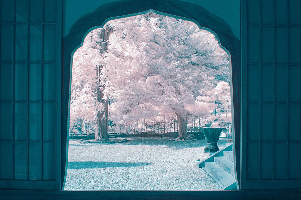 infrared photography art print by yuuui for $57.95 CAD