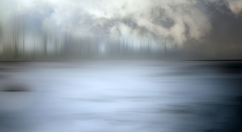Foggy forest art print by Gilbert Claes for $57.95 CAD