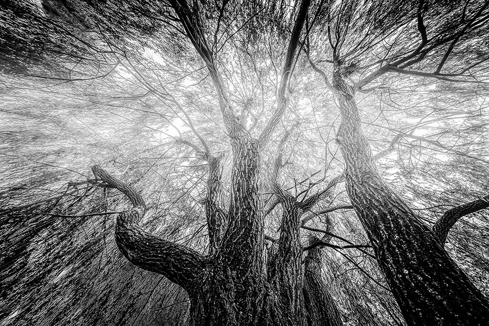 Untitled art print by Steve Hermann for $57.95 CAD