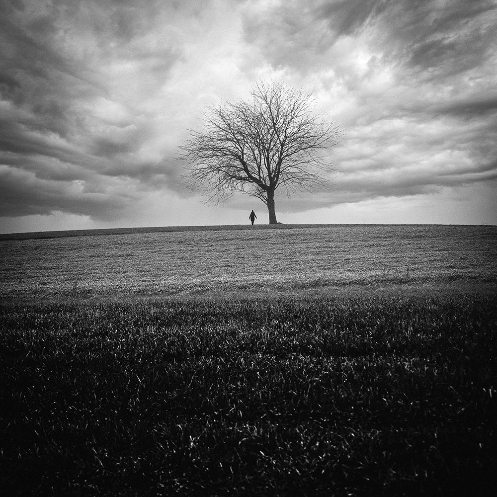 to be alone art print by Renate Wasinger for $57.95 CAD