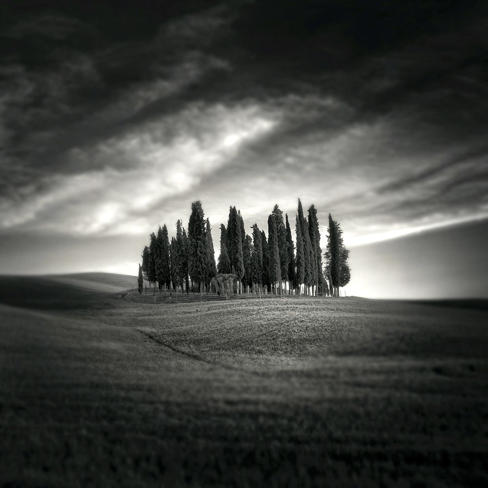 Tuscany art print by Christian Marcel for $57.95 CAD