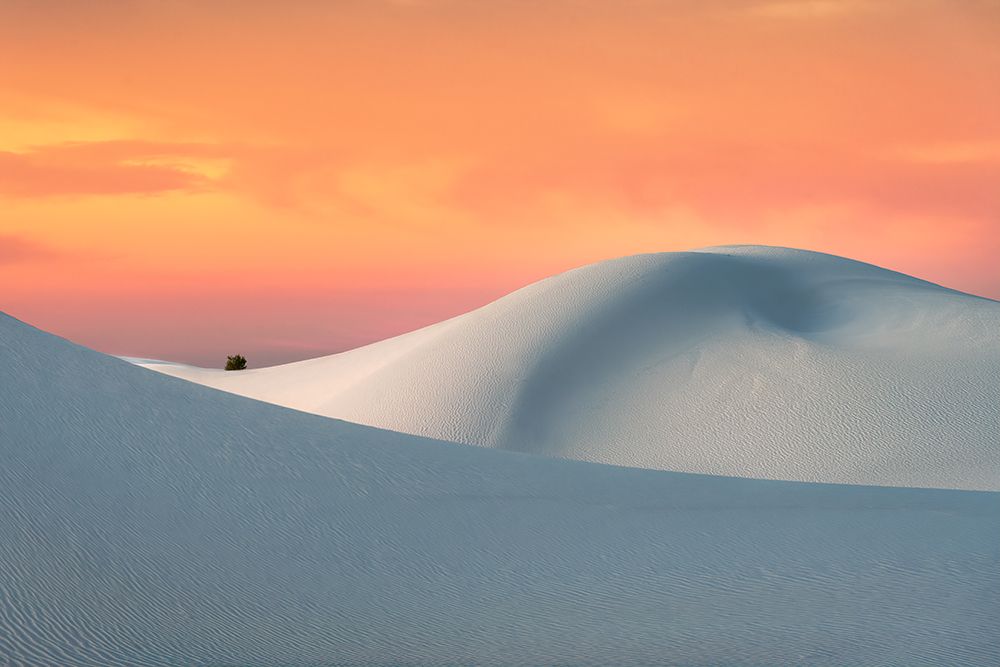 White Sands art print by Aidong Ning for $57.95 CAD