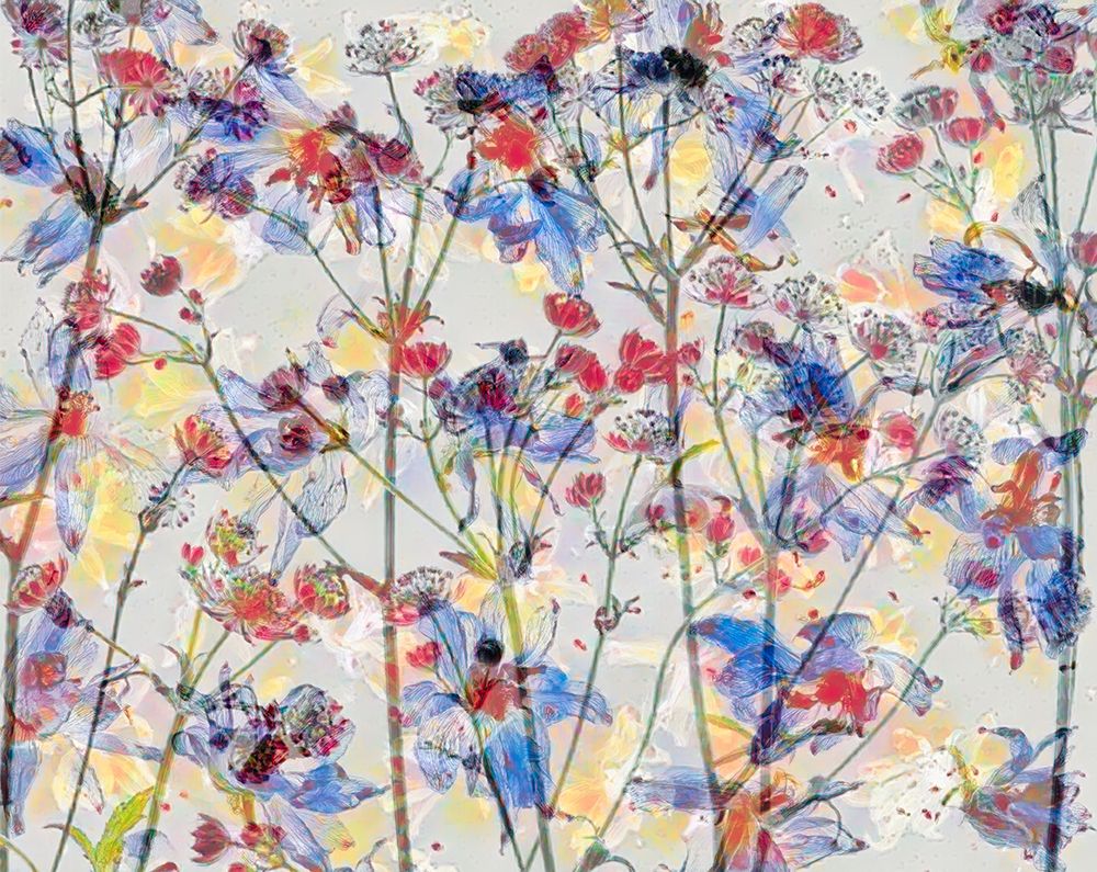 Painterly flowers. art print by Saskia Dingemans for $57.95 CAD